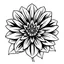 Placeholder: A stylized black and white line drawing of a baby portrait featuring detailed petals, a center, and leaves, pure white background