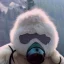 Placeholder: Yeti in a mask, background = (wildfires, mountains, fires, smoke, disaster)