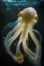 Placeholder: a deep sea squid with translucent skin