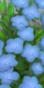 Placeholder: a bunch of blue flowers with green leaves, a digital rendering by Kanzan Shimomura, cgsociety, photorealism, rendered in maya, daz3d, photorealistic