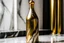 Placeholder: photographie d'une magnifique bouteille en or posée sur une table en marbre blanc zébré comme dans l'antiquité, comme sur l'olympe. Très précis, très intriqué, très stylisé, très propre et épuré, hd, 8k, effet octane