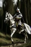 Placeholder: Medieval knight with a black and white checkered cape with a bright colored Lance riding a horse in the wilderness