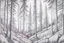 Placeholder: Norwegian forest, woodland- Pencil drawing, illustrative, graphite, crosshatching, blending