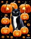 Placeholder: black cat on Halloween dancing with pumpkins in the photo of the starry sky