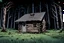 Placeholder: marvel comic book style, small abandoned hunter's log cabin in a dark forest, overgrown, derelict, zombie apocalypse setting