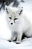 Placeholder: Snow Fox: Appearance: A small and agile creature with pristine white fur, the snow fox has a bushy tail and pointed ears. Its keen eyes reflect intelligence, and its small size allows it to navigate the snow-covered terrain with ease.