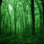 Placeholder: a labirynth existance deep green forest