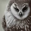 Placeholder: snow OWL