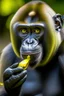 Placeholder: gorilla tag monkey with banana in hand