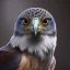 Placeholder: portrait of a bird of prey, feathers, extremely sharp detail, finely tuned detail, ultra high definition, 8k resolution, dynamic lighting, unreal engine 5, ultra sharp focus, winter landscape, trees