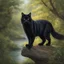 Placeholder: An black may coon cat, 32k resolution, Best Quality, Masterpiece, natural light, insanely detailed, 8k resolution, fantasy art, detailed painting, hyper realism, photorealistic, carguilar, beautiful detailed intricate, insanely detailed, natural skin, soft impressionist perfect composition, award-winning photograph, full body