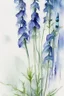 Placeholder: wet watercolour, blue green grey stalks delphiniums,