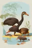 Placeholder: John James Audubon-like illustration of a fully uncropped Dodo bird and a Platypus in a landscape of warm yellows, warm reds, and warm blues