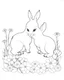 Placeholder: Coloring page: Sweet baby rabbits frolicking in a meadow filled with daisies and tulips.