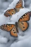 Placeholder: butterflies and bubbles in the snow