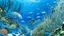 Placeholder: A blue underwater coral reef with fish painted by Katsushika Hokusai