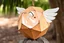 Placeholder: icosahedron coconut angel