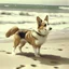 Placeholder: A vintage photo of a corgi on a beach