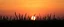 Placeholder: green grasses silhouette across bottom, with golden sunset sky in background