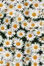 Placeholder: generate a image with full minimalist color of daisies for digital wall art purpose