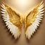 Placeholder: two beautiful angel wings, gold and white, cinematic image, extra clear, golden background,