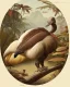 Placeholder: John James Audubon-like illustration of a fully uncropped Dodo bird and a Platypus in a landscape of warm yellows, warm reds, and warm blues