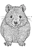 Placeholder: an Quokka. centered flat minimalistic black and white high contrast line drawing, coloring book style, {prompt}, (white sky, white clouds, white hair,white objects, white clothing, white fur, white skin, white terrain, white scales, white everything:1.1), blank white background.