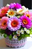 Placeholder: Flowers for mothers for a Mother’s Day