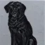 Placeholder: black dog, highly detailed