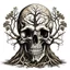 Placeholder: human skull drawing, tree roots, dead tree, front view