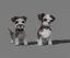 Placeholder: Cute salt and pepper miniature schnauzer Digital Art