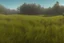 Placeholder: panorama of the level landscape for 2d platformer with grass, ground, trees etc