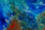 Placeholder: A cerulean blue warped coral reef painted by Claude Monet