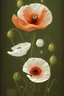 Placeholder: a botanical illustration of a poppy