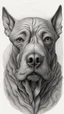 Placeholder: 𝙋𝙧𝙤𝙢𝙥𝙩 highly detailed graphite illustration, A dog face with exaggerated anatomical features, heavily wrinkled skin, and an intense, contemplative expression. bald head, thick eyebrows, long beard merge into swirling abstract shapes. Large, expressive hands, one covering the mouth and the other gripping the forehead tensely. Mysterious, introspective, dreamlike, somewhat dark fantasy. #𝙙𝙧𝙚art #prompt