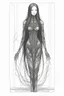 Placeholder: Drawing of a beautiful female human in the style of Scorn, Giger, Beksinski, Leonardo da Vinci. Full body.thin lines draw style