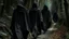 Placeholder: black robe hooded monks on the forest path