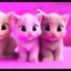 Placeholder: pink Cute kittens playing