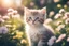 Placeholder: antropomorph kitten flower in a flowergarden in sunshine, ethereal, cinematic postprocessing