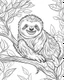 Placeholder: create a 2d black outline, "safari smiling cartoon sloth on a branch coloring book for kids", coloring page, low details design, black contour, coloring page design, simple background, colorful , card style, coloring page for kids, white background, sketch style, safari landscape, cartoon style