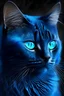Placeholder: blue cat