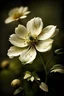 Placeholder: marimekko flower