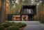 Placeholder: modern black home in forest dezeen architecture photography highly detailed