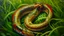 Placeholder: A realistic painting of a large snake coiled up in the grass, intricate details on scales and patterns, vibrant colors, by Franz Marc and Henri Rousseau, (long shot), natural lighting from above, oil painting style