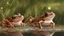 Placeholder: stylized and happy young brown frog with black stripes in its natural habitat at sunset, plain with wetlands, ravines, river with water hyacinth, ceibos and willows, dragonflies, beetles, dewdrops, digital art