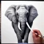 Placeholder: Realistic elephant sketch