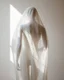 Placeholder: The blurred body of the mannequin is photographed from behind, its form obscured by an abstract white veil that adds to its enigmatic presence in the scene. The light casting on it creates a play between shadow and shape, adding depth to what could be seen as a minimalist portrait. This composition captures the mysterious essence of a figure shrouded within the soft fabric of fashion photography. --ar 3:4 --personalize 9t64lnl --stylize 500 --v 6.1