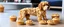 Placeholder: carpenter dog made of muffins