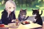 Placeholder: A cat with a hoodie is sitting at a table eating sushi. Perfect iris.