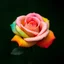 Placeholder: Create multicoloured rose and dark green background